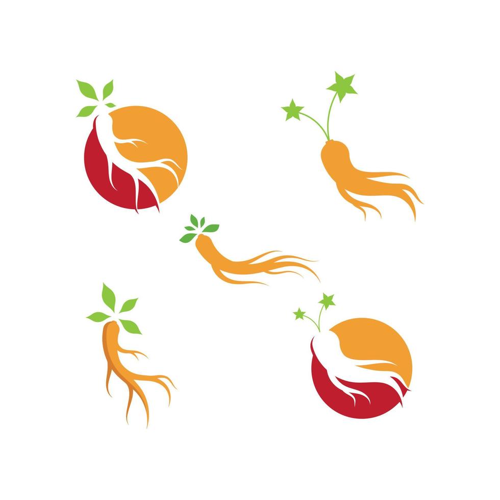 Ilustración de vector de ginseng. símbolo del logotipo de raíz de ginseng