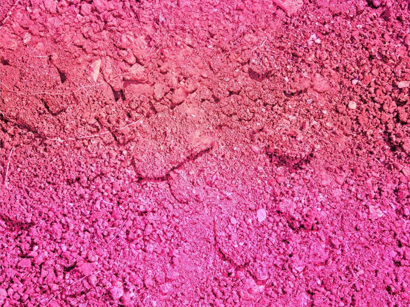 textura tierra rosa foto
