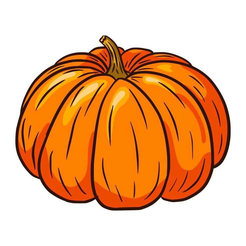 ilustración de calabaza de invierno vector