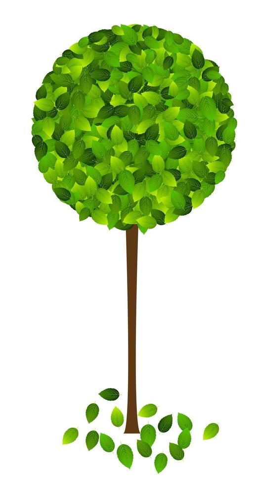 Green eco friendly label from green leaves. Vector illustration.
