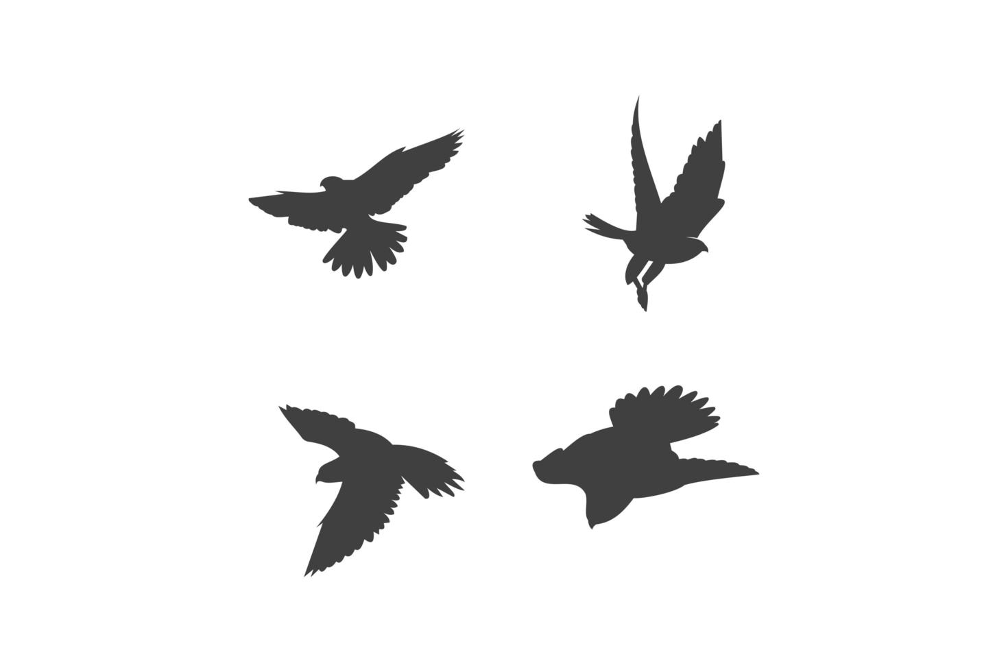 plantilla de diseño de logotipo de halcón, ilustración de icono vector