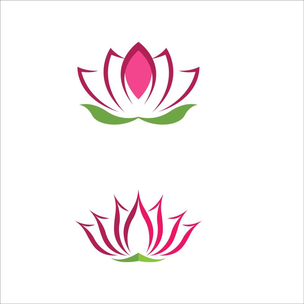 beauty lotus flower vector icon