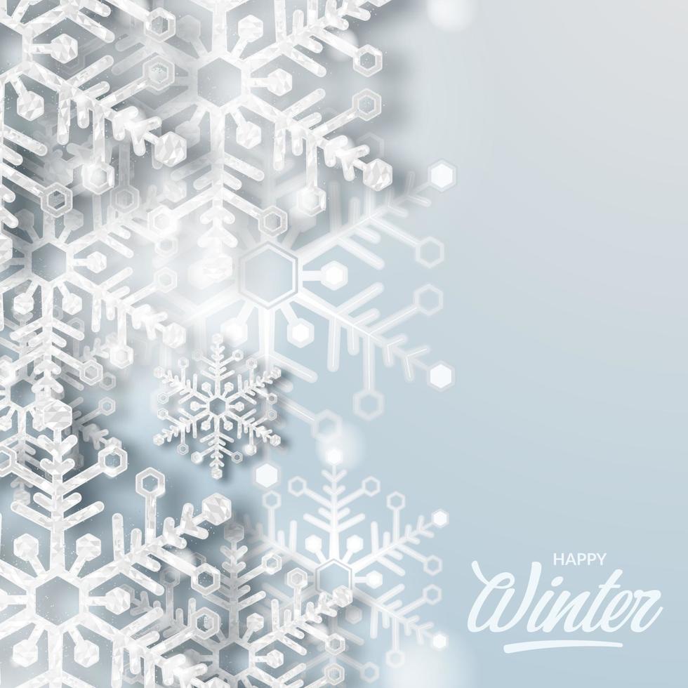 Hello Winter snowflake 3d sparkle luxury background decoration vector