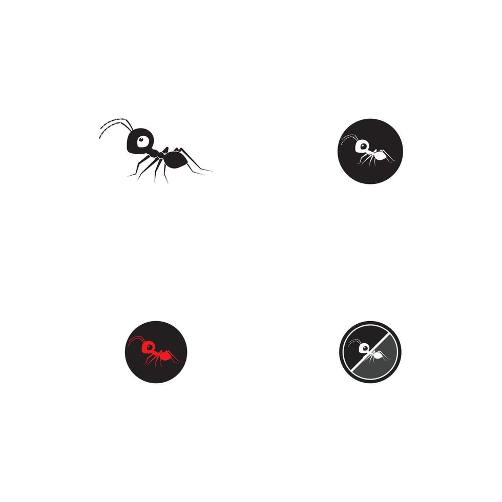 Ant vector illustration design