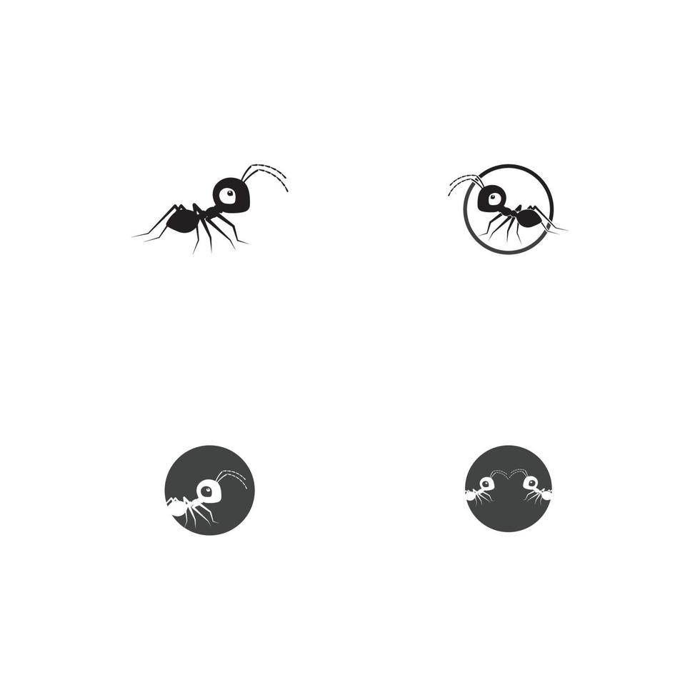 Ant vector illustration design