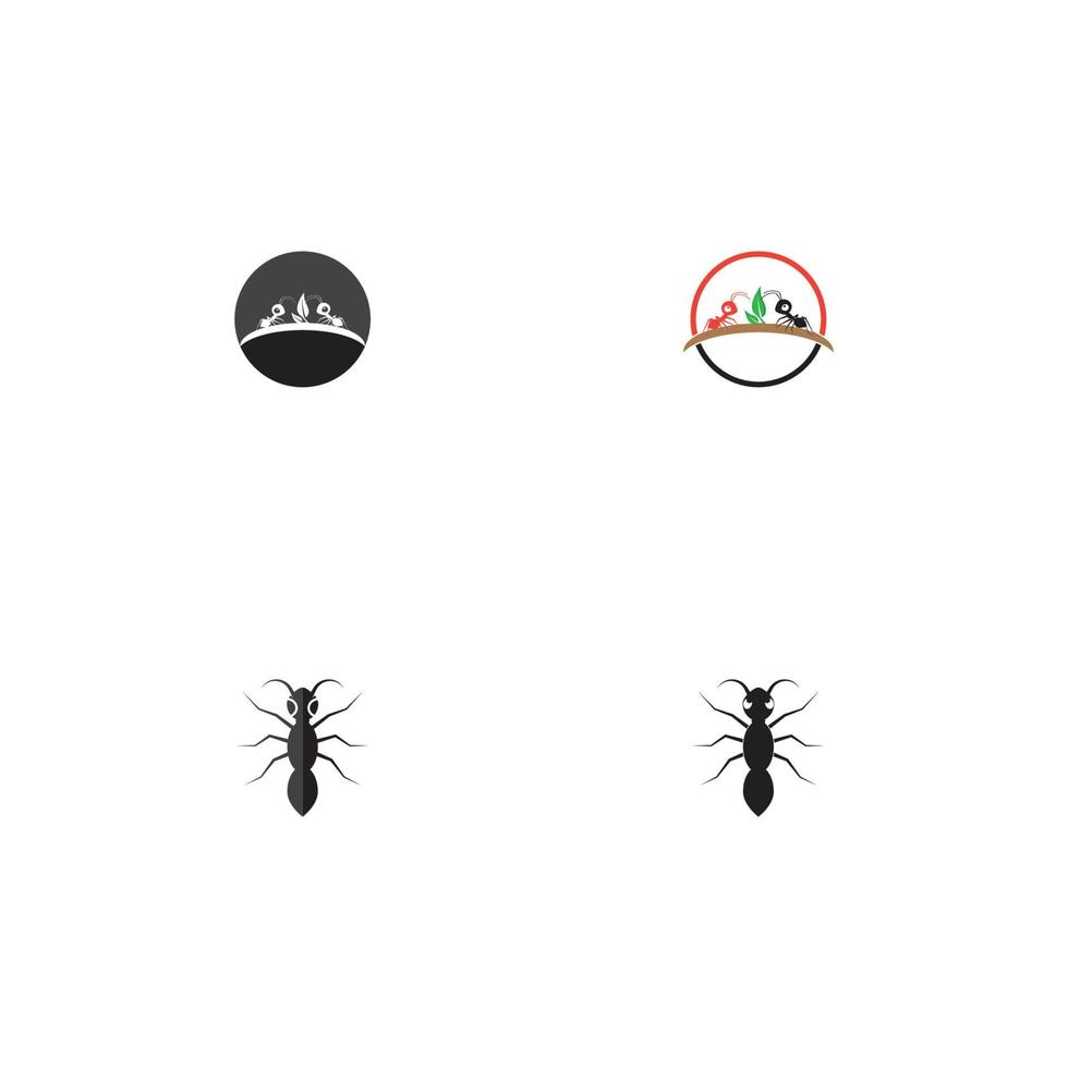 Ant vector illustration design