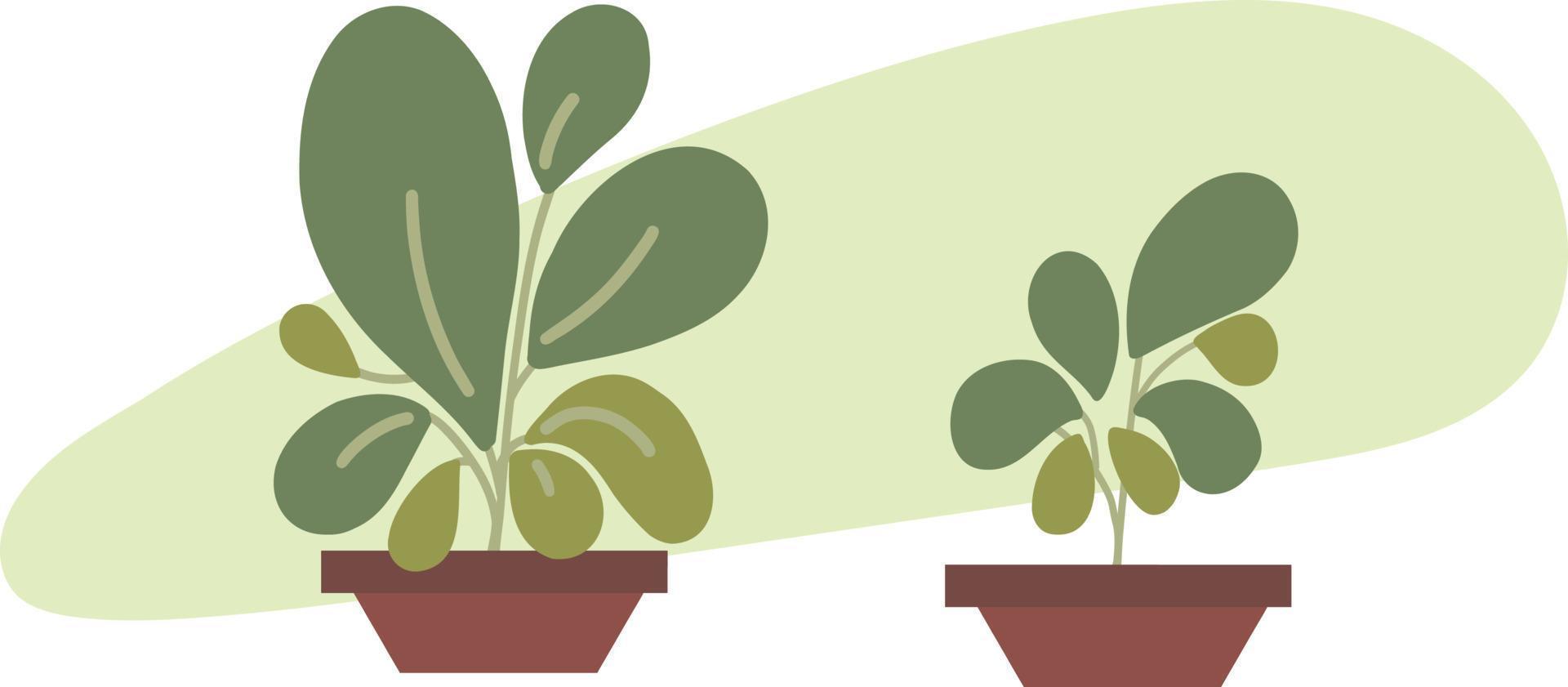 Green potted plants. Indoor green abstract plants and leaves free vector