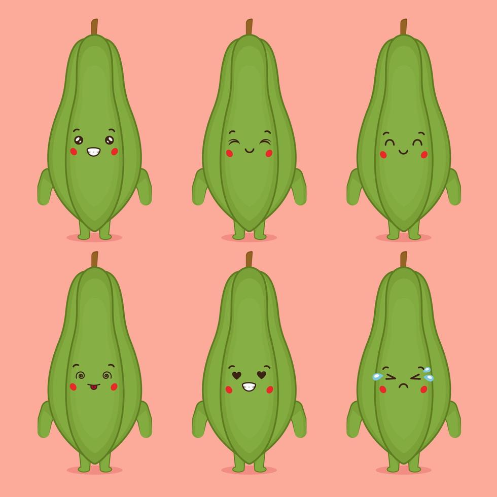 Cute Papaya with Various Expression vector