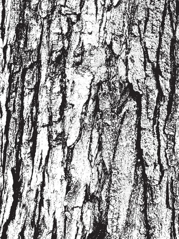 Grunge tree bark texture vector