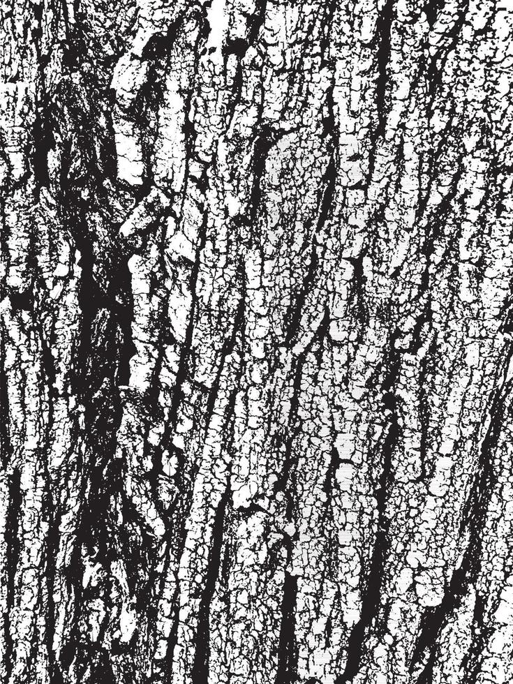 textura de corteza de árbol de grunge. textura de superposición apenada. textura vector blanco y negro