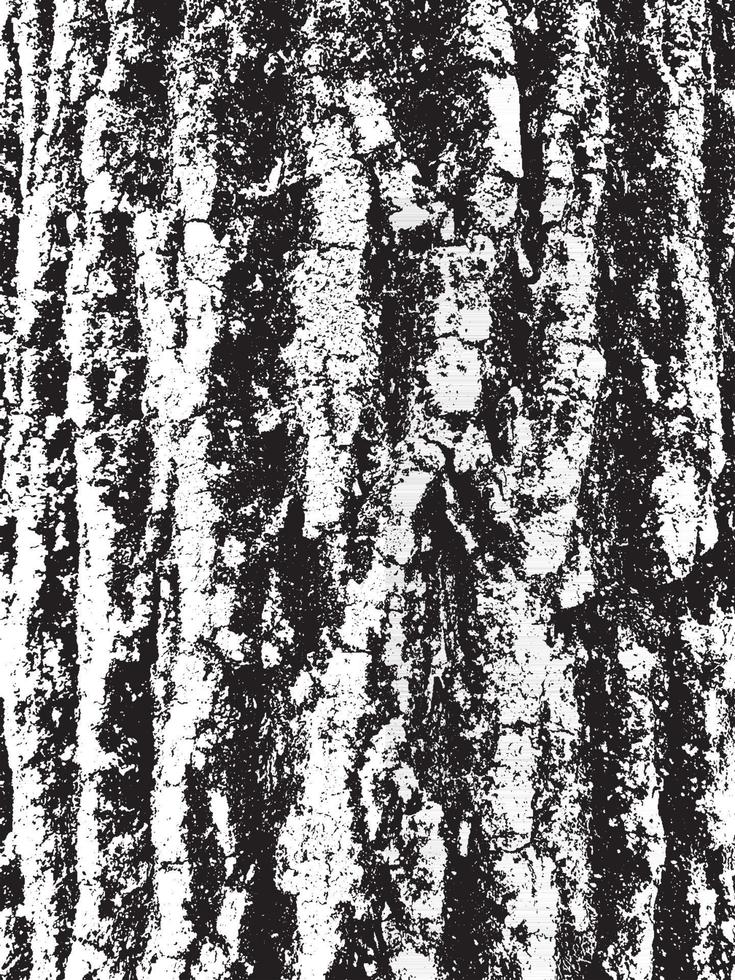 Grunge tree bark texture. Distressed overlay texture. Black and white vector texture