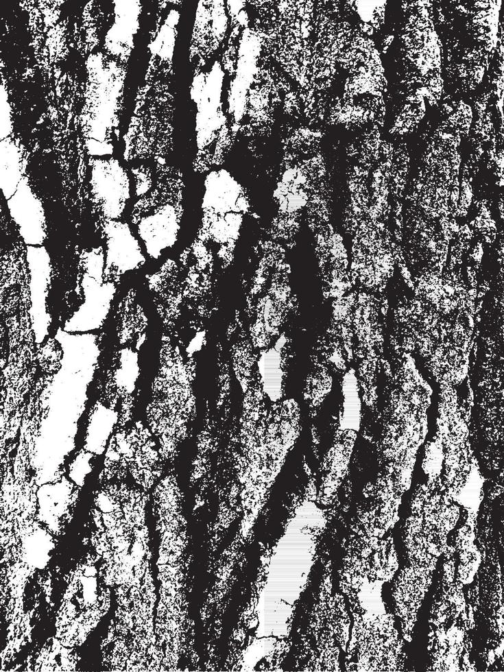 Grunge tree bark texture vector