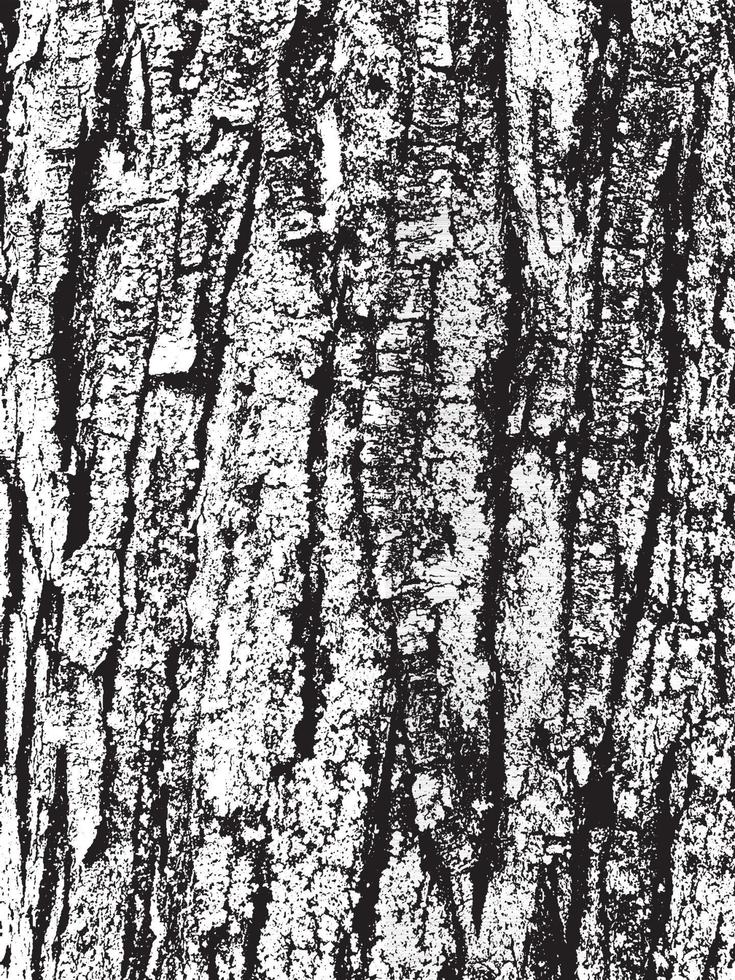 Grunge tree bark texture vector