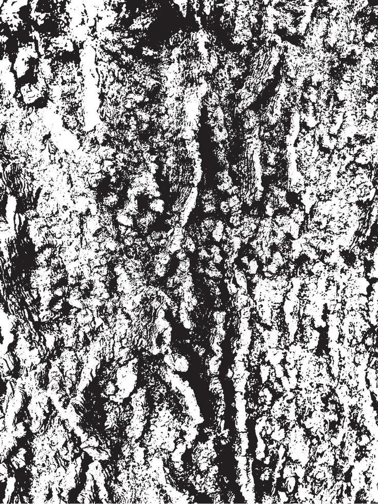 Grunge tree bark texture. Distressed overlay texture. Black and white vector texture