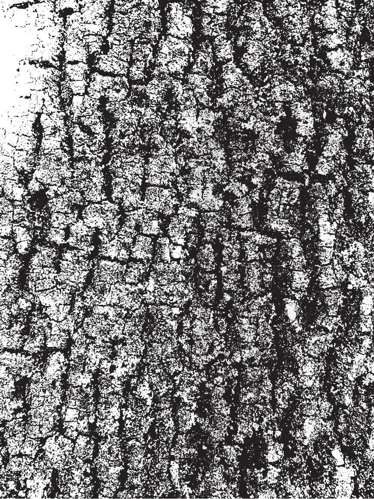 Grunge tree bark texture. Distressed overlay texture. Black and white vector texture