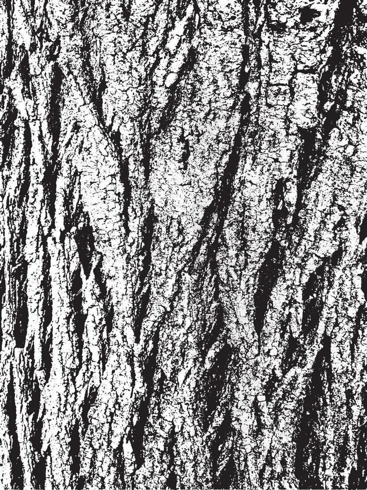 Grunge tree bark texture. Distressed overlay texture. Black and white vector texture