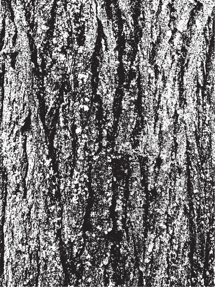 Grunge tree bark texture. Distressed overlay texture. Black and white vector texture