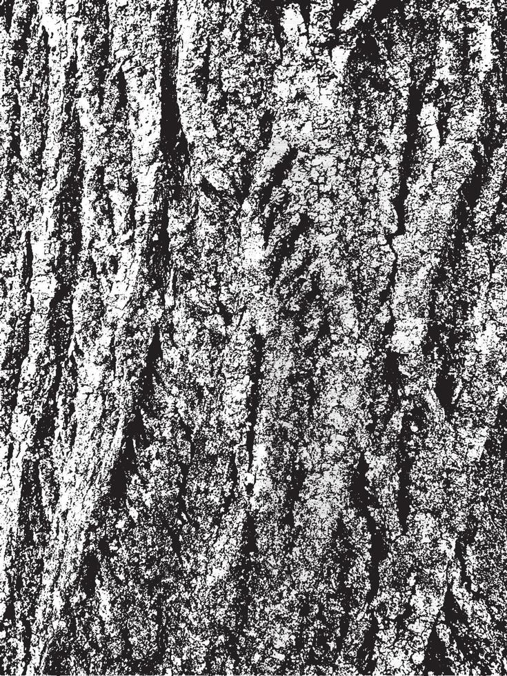 Grunge tree bark texture. Distressed overlay texture. Black and white vector texture