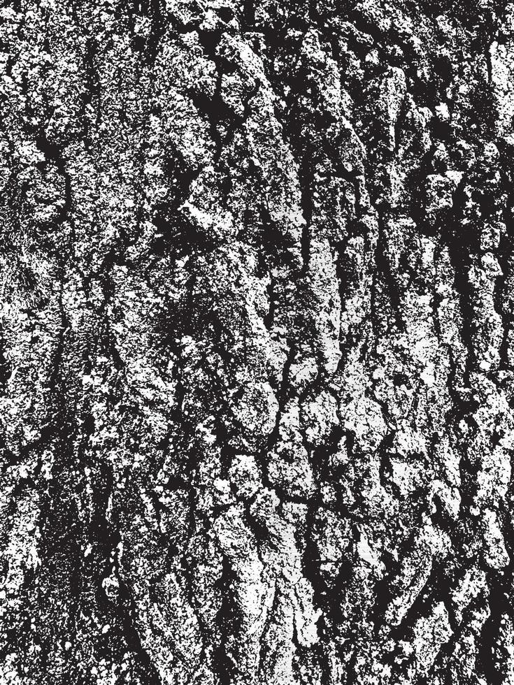 textura de corteza de árbol grunge vector