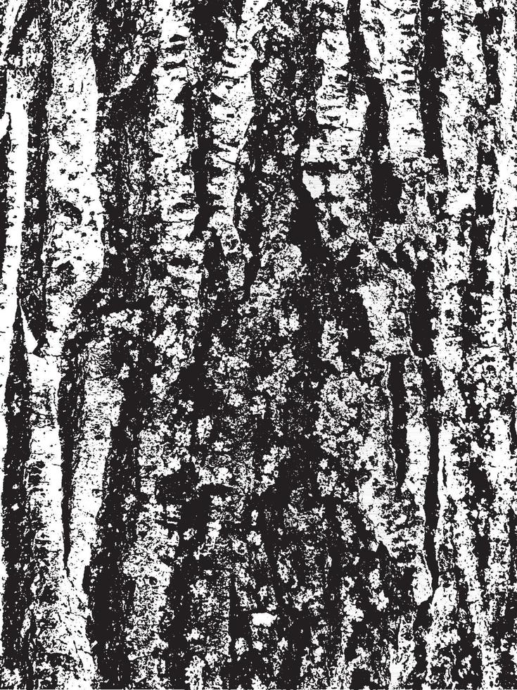 Grunge tree bark texture. Distressed overlay texture. Black and white vector texture