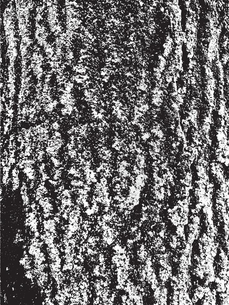 Grunge tree bark texture. Distressed overlay texture. Black and white vector texture