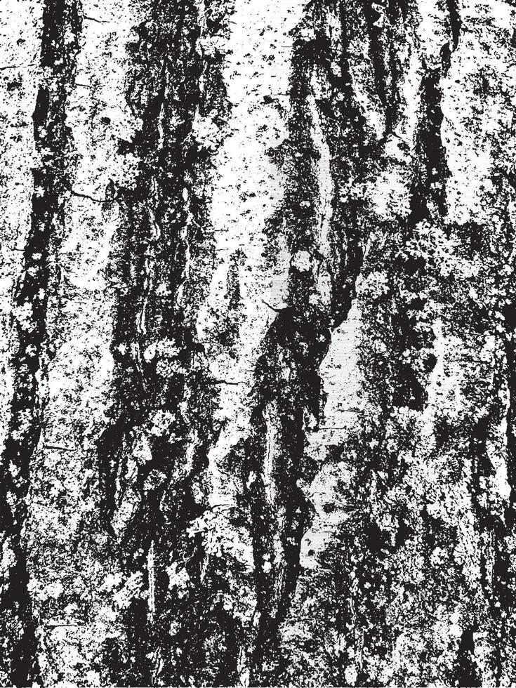 Grunge tree bark texture. Distressed overlay texture. Black and white vector texture