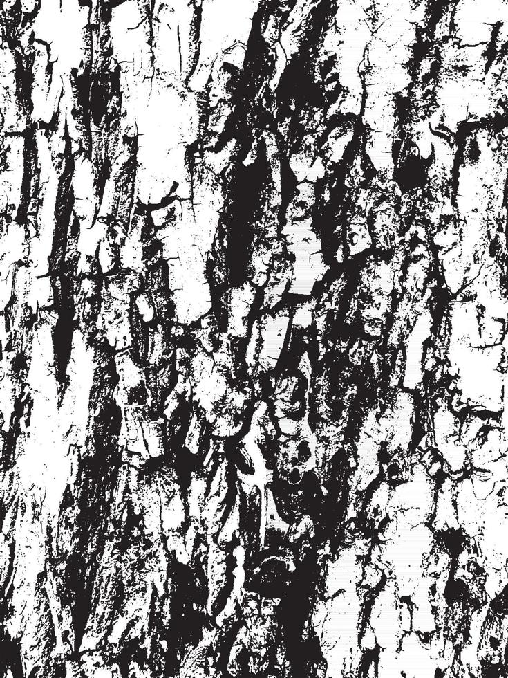 textura de corteza de árbol de grunge. textura de superposición apenada. textura vector blanco y negro