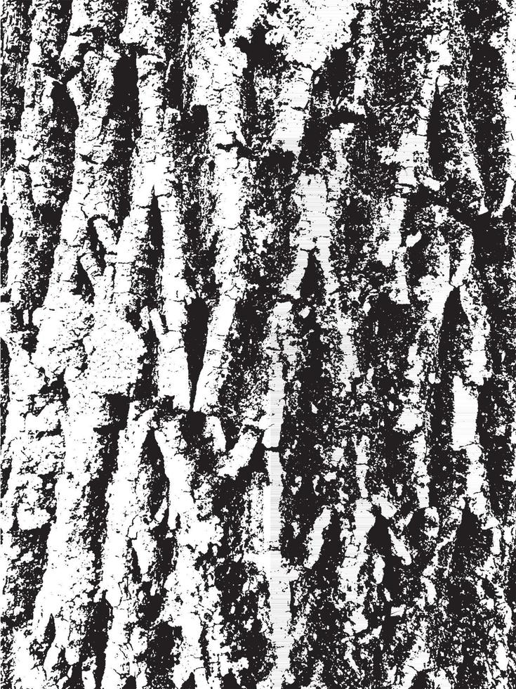 Grunge tree bark texture. Distressed overlay texture. Black and white vector texture