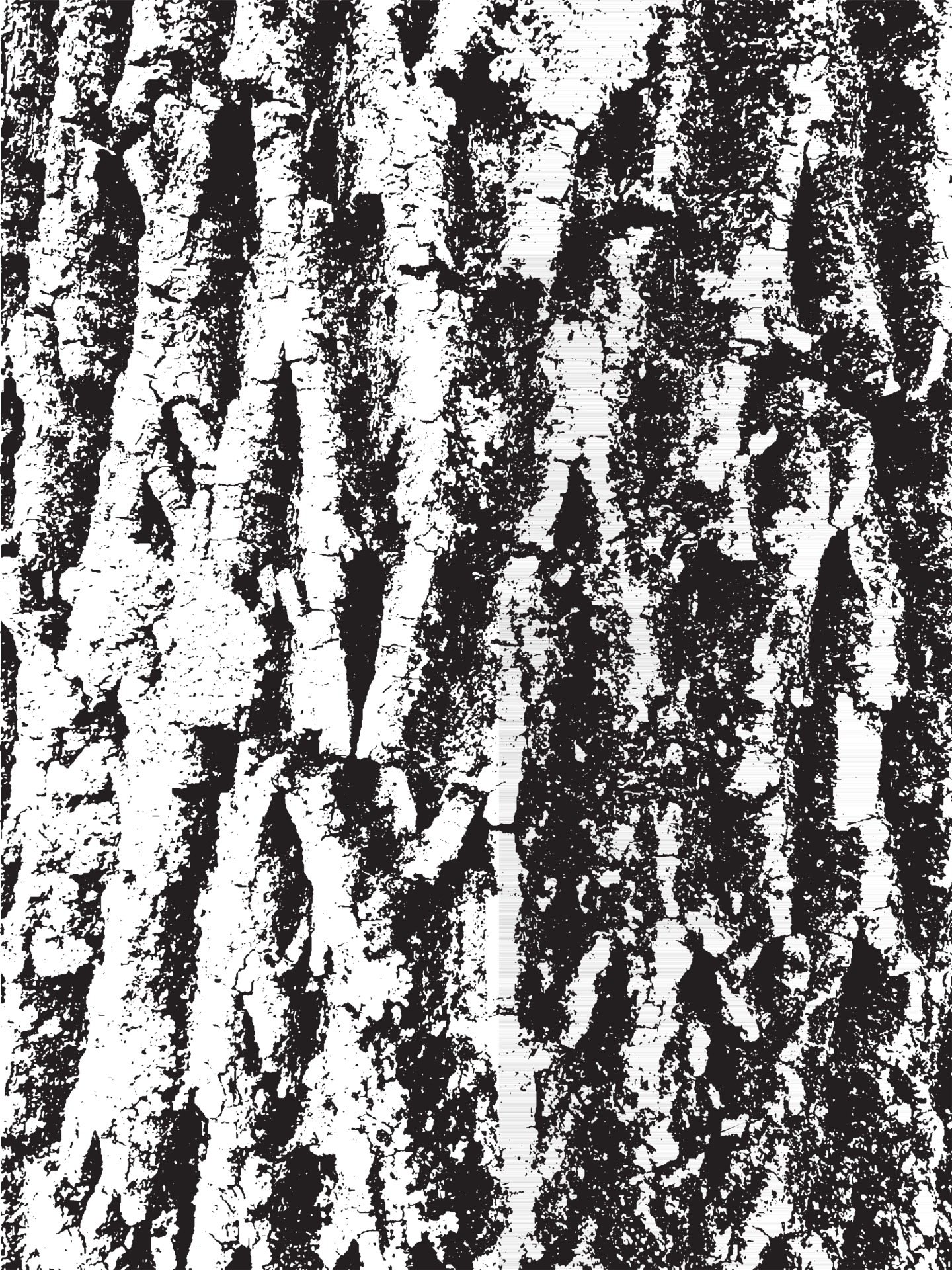 Grunge tree bark texture. Distressed overlay texture. Black and white