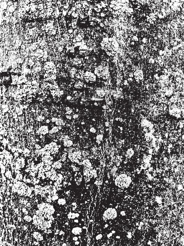 textura de corteza de árbol de grunge. textura de superposición apenada. textura vector blanco y negro