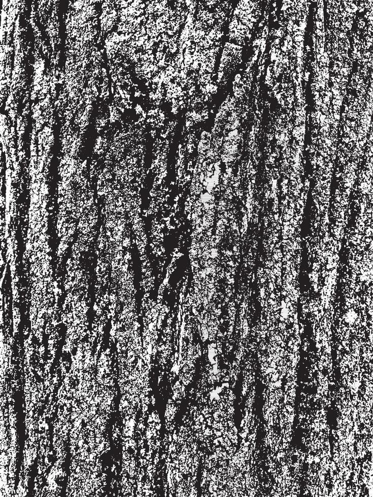 Grunge tree bark texture. Distressed overlay texture. Black and white vector texture