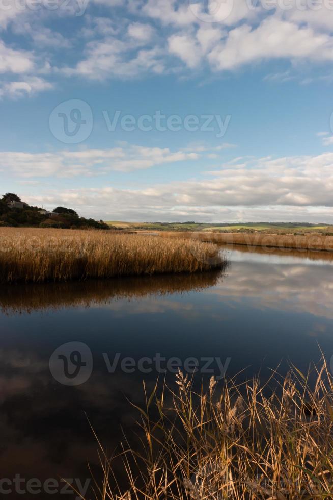 river with golden color grass at princetown wetland photo