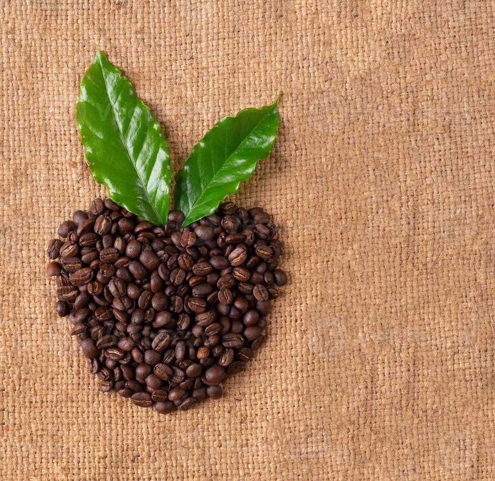 grano de café tostado en saco de lino foto