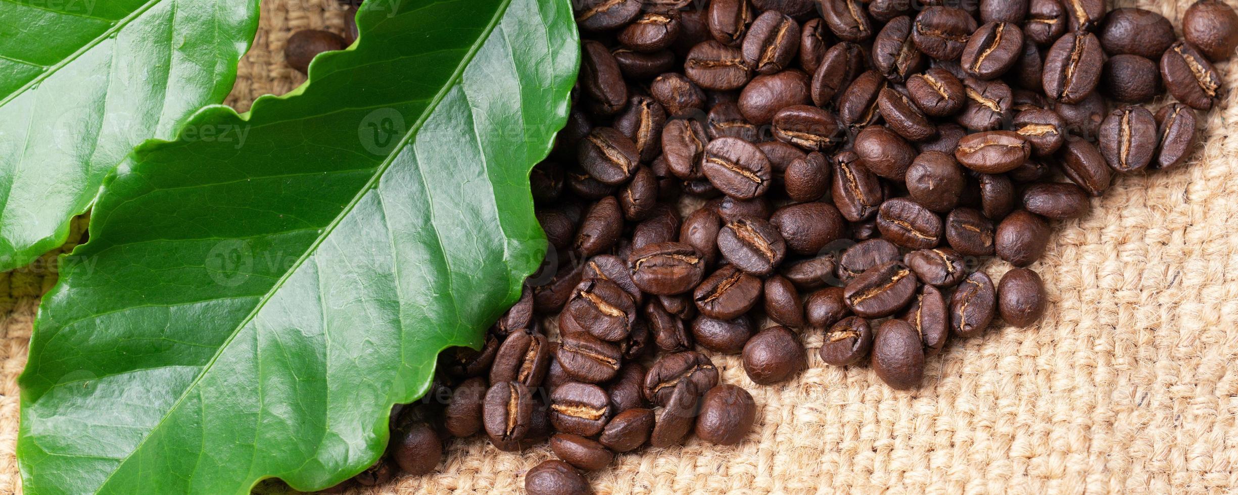 grano de café tostado en saco de lino foto