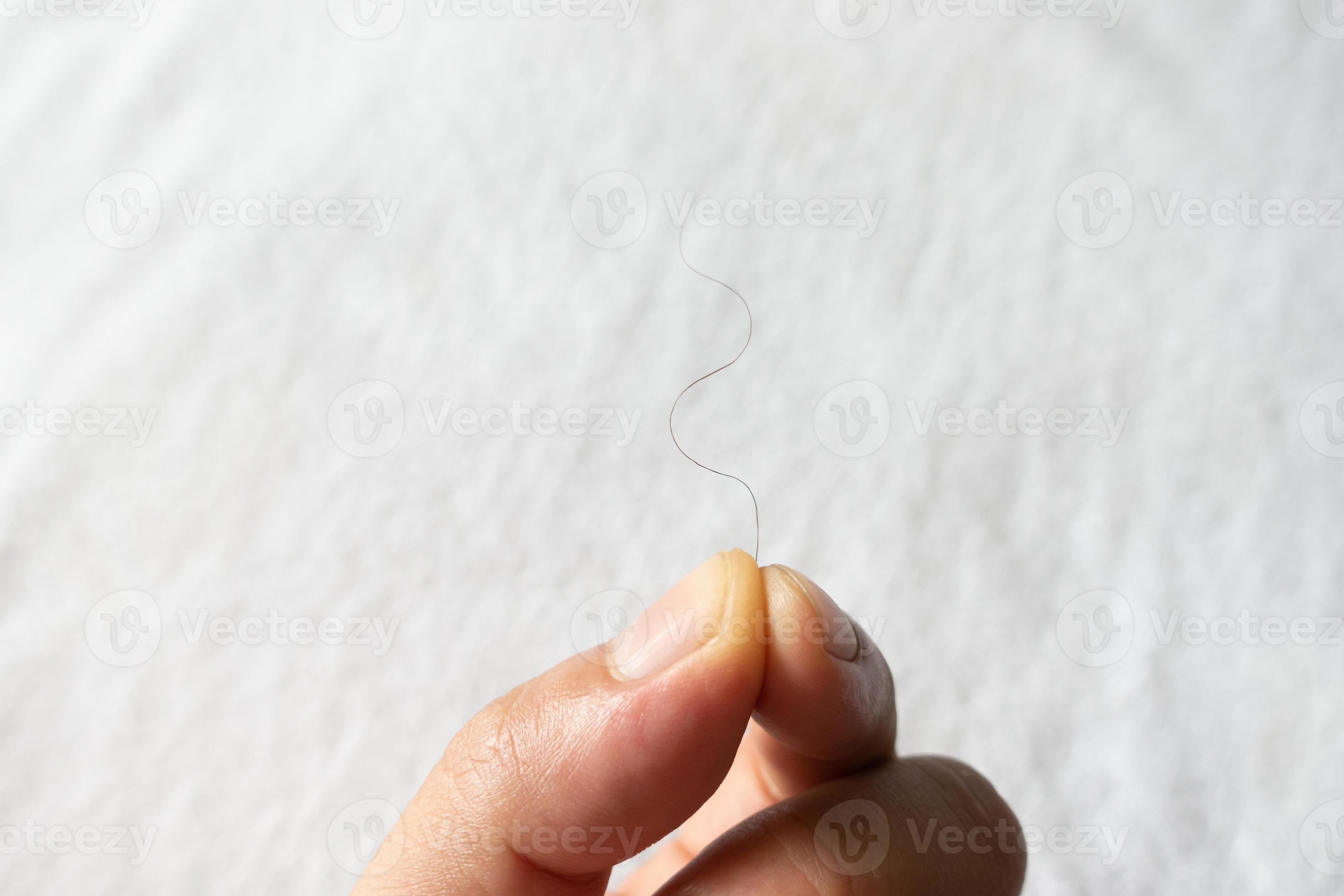 hand hold pubic hair 3614058 Stock Photo at Vecteezy