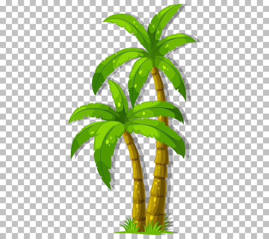 Palm tree on grid background vector