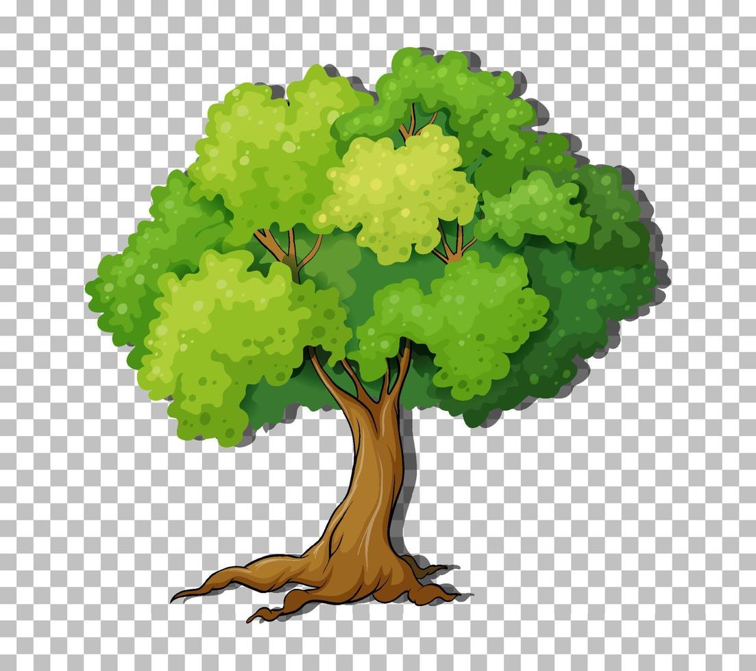 Tree on grid background vector