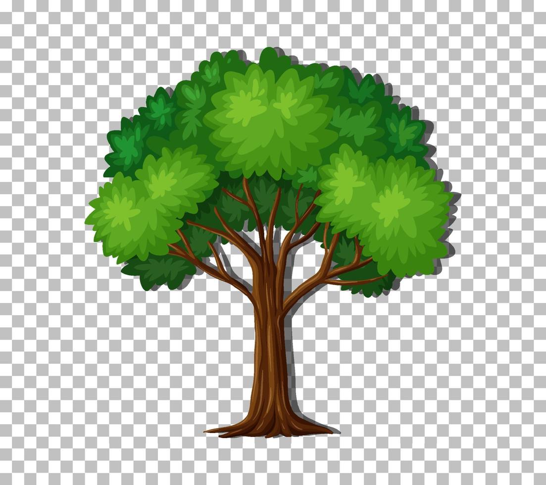 Tree on grid background vector