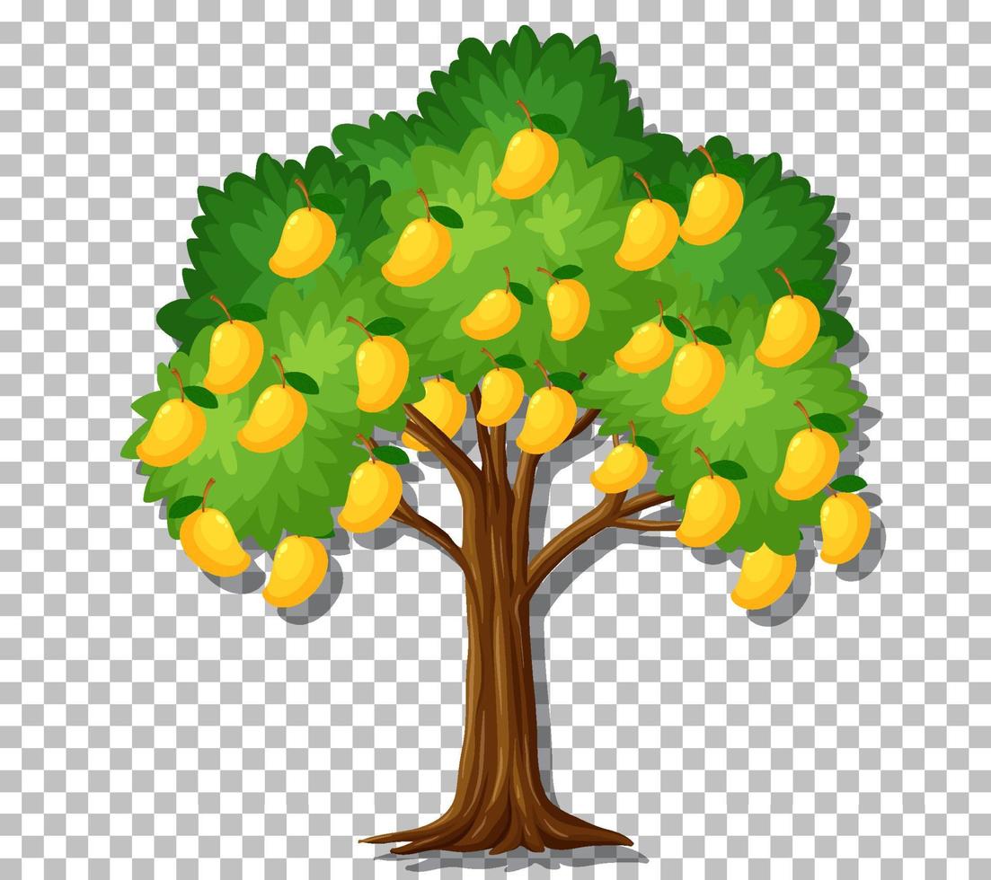 árbol de mango en el fondo de la cuadrícula vector