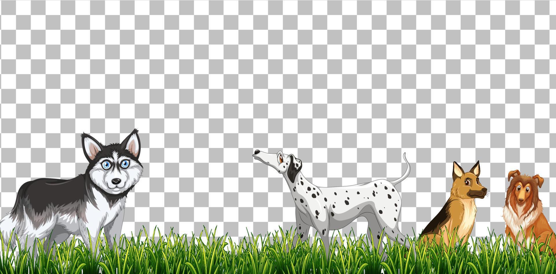 Domestic dogs cartoon character on grid background vector