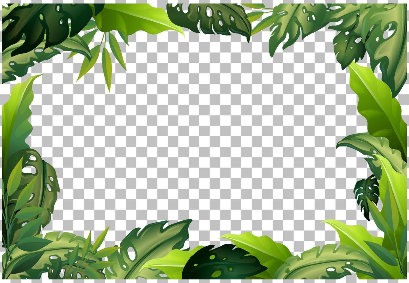 Nature plants frame grid background vector