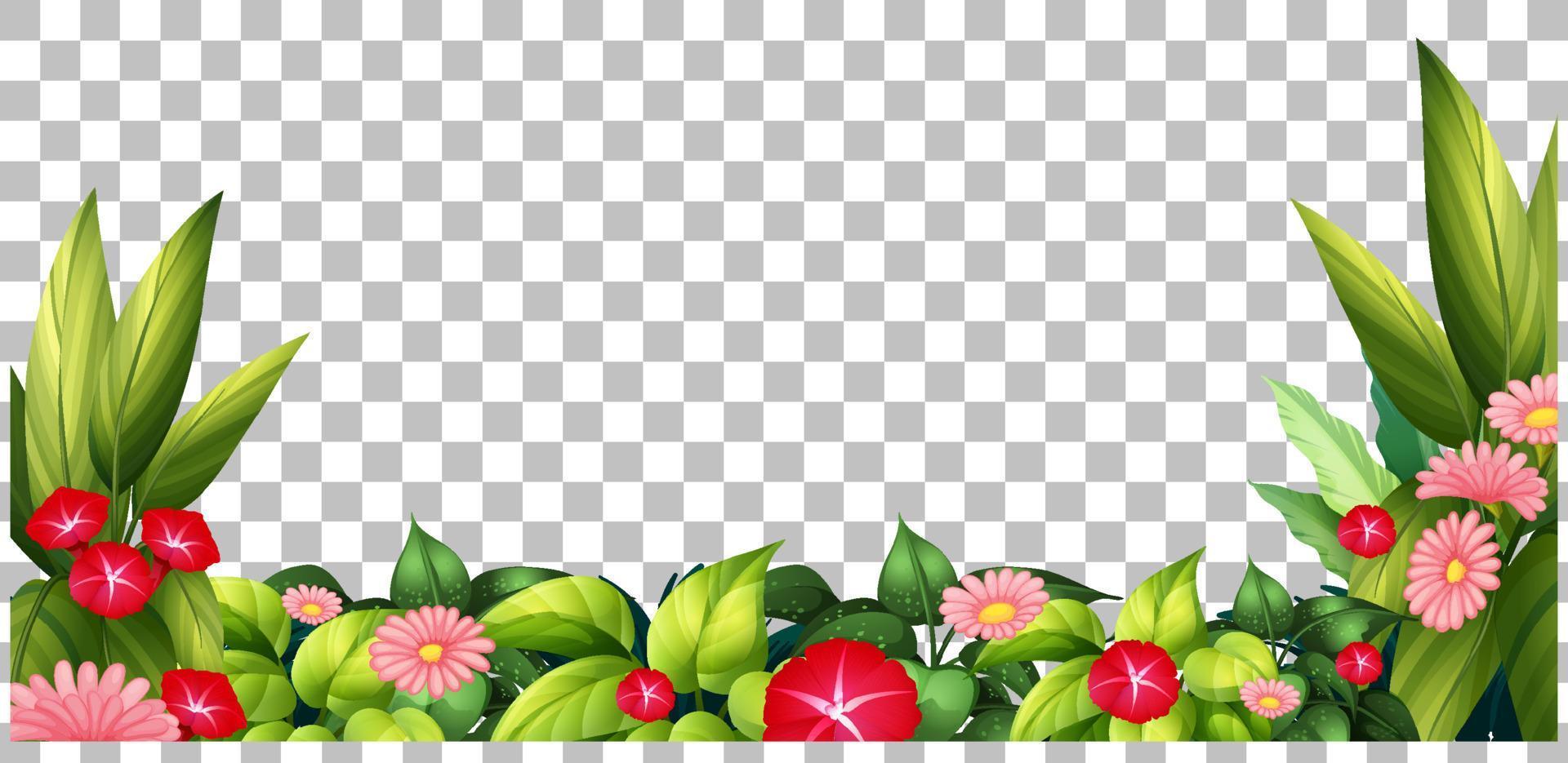 Nature plants frame grid background vector