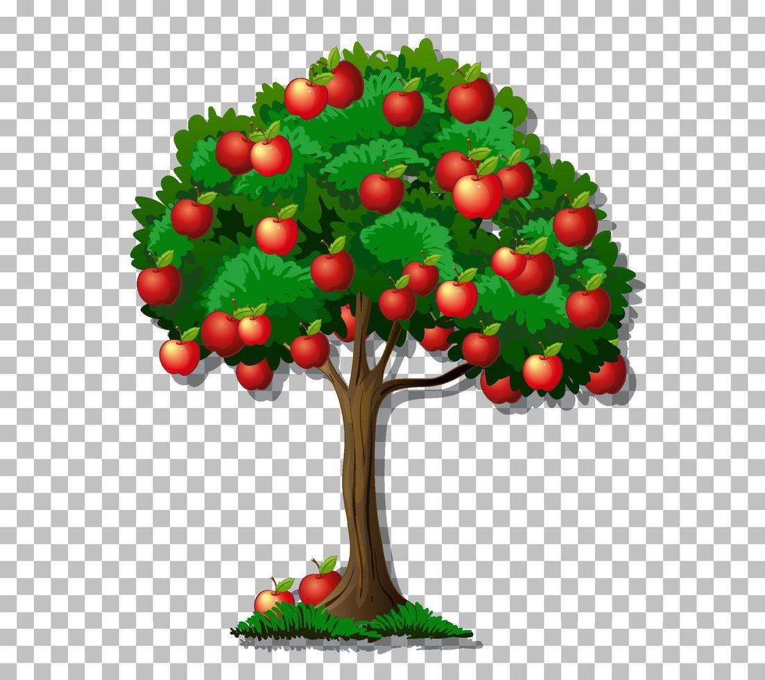 Apple tree on grid background vector
