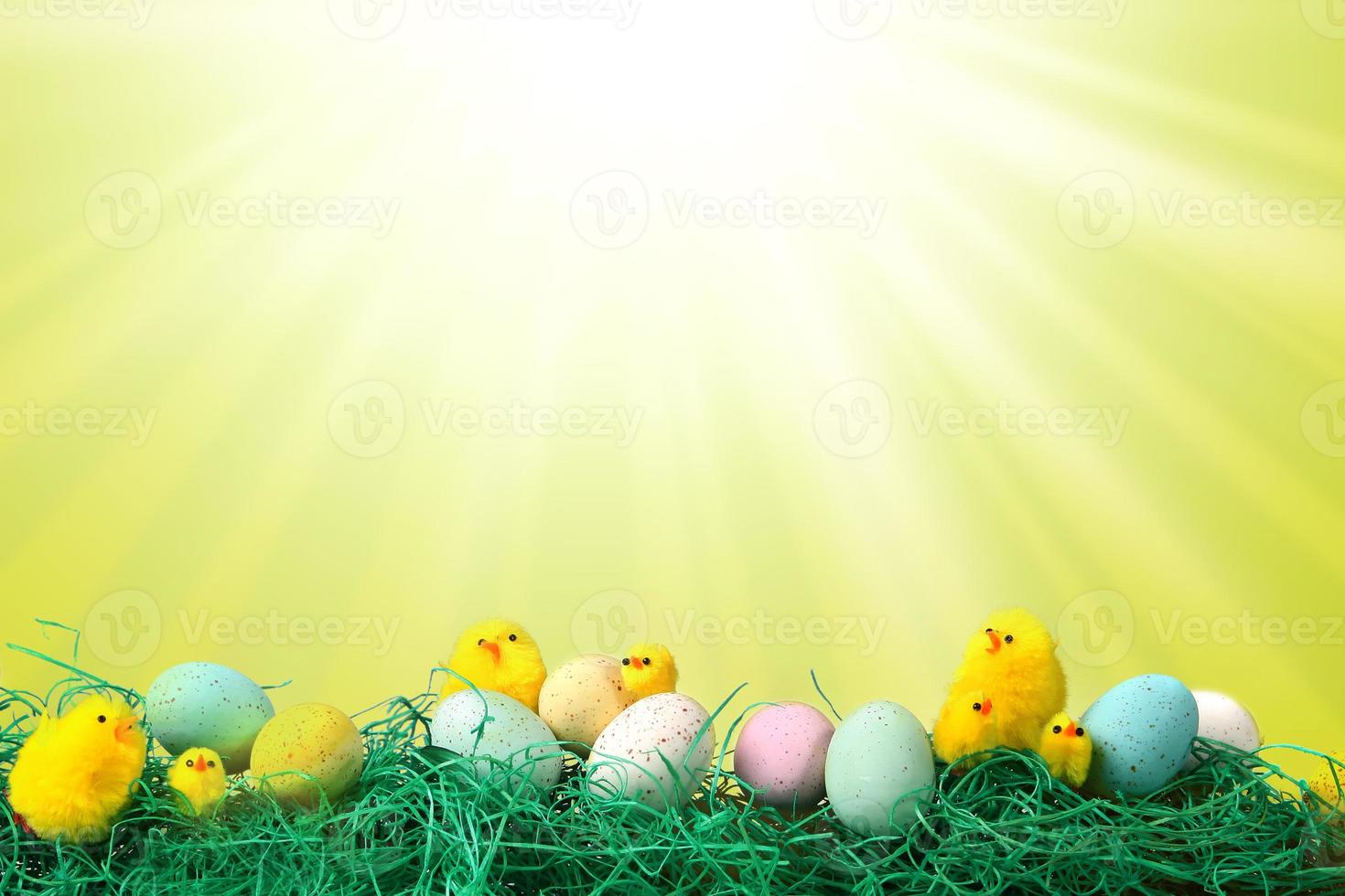 Easter Holiday Image With Chicks Eggs and Grass photo