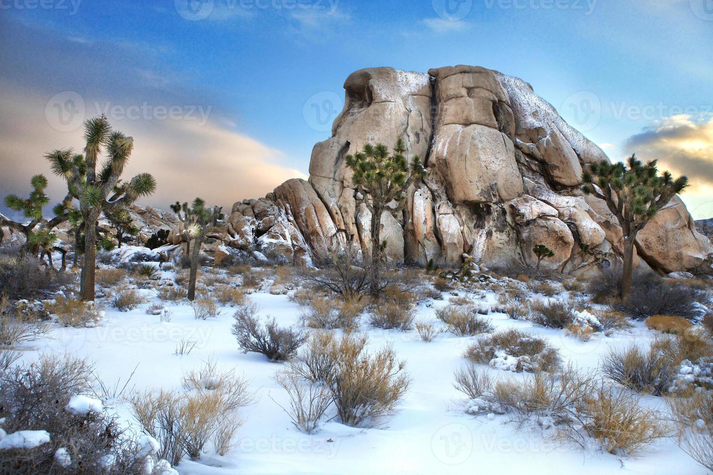 paisaje nevado en el parque nacional joshua tree foto