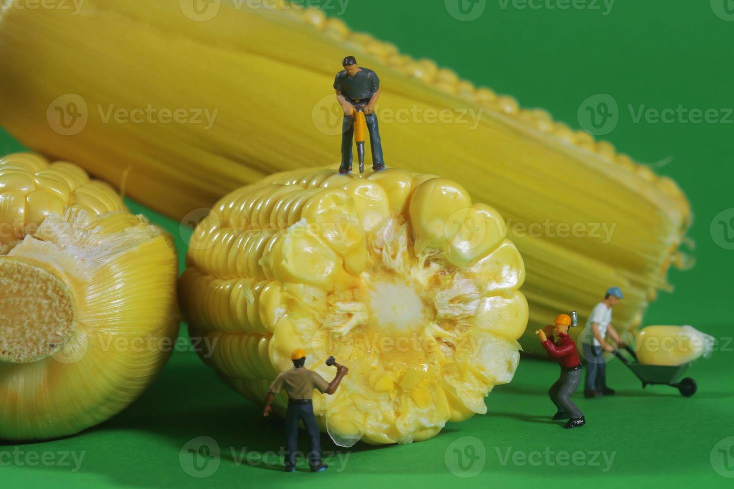 Miniature Construction Workers in Conceptual Food Imagery With Corn photo