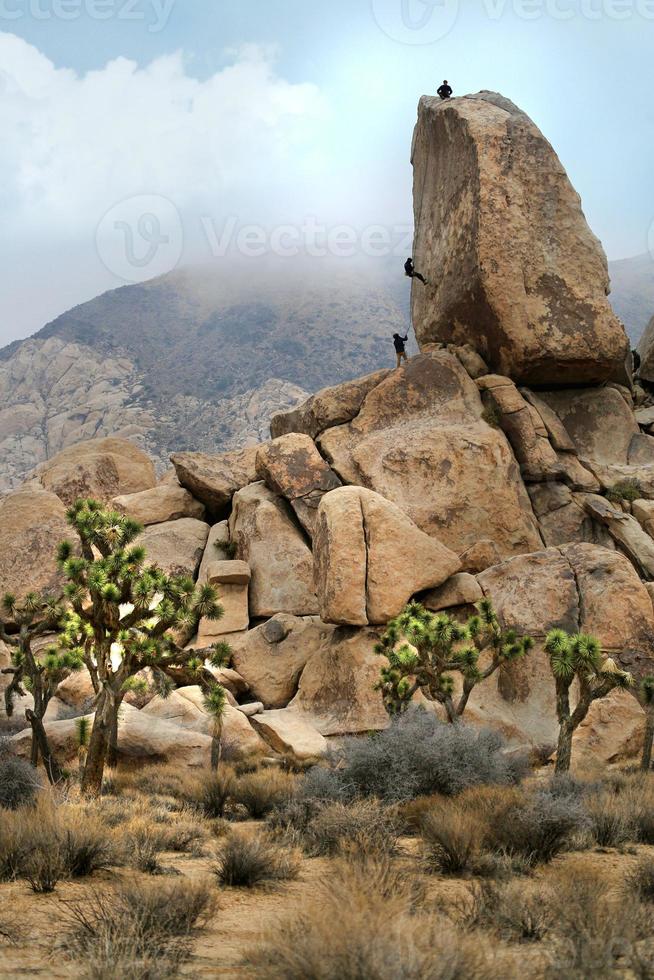 Campers Rock Climbing in Joshua Tree National Park photo