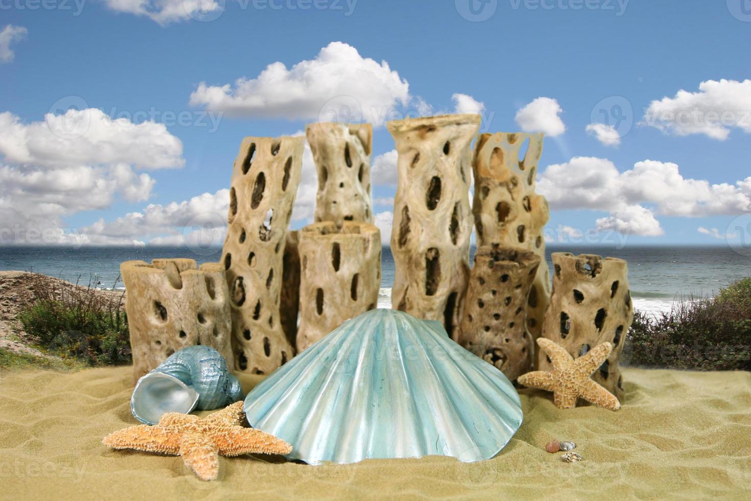 Mermaid Shell Ocean Background photo