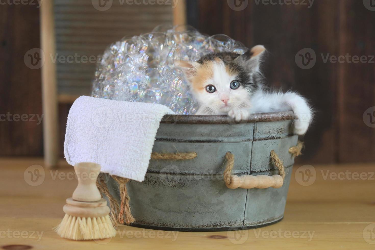 gatito en una bañera con burbujas foto