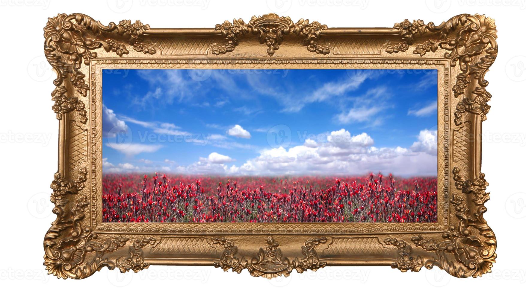 Framed Field of Pretty Red Flowers and Beautiful Sky photo